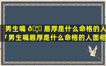 男生嘴 🦟 唇厚是什么命格的人「男生嘴唇厚是什么命格的人面相」